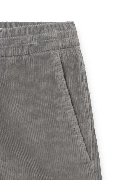 AD 88 - Pantalon Velours Gris